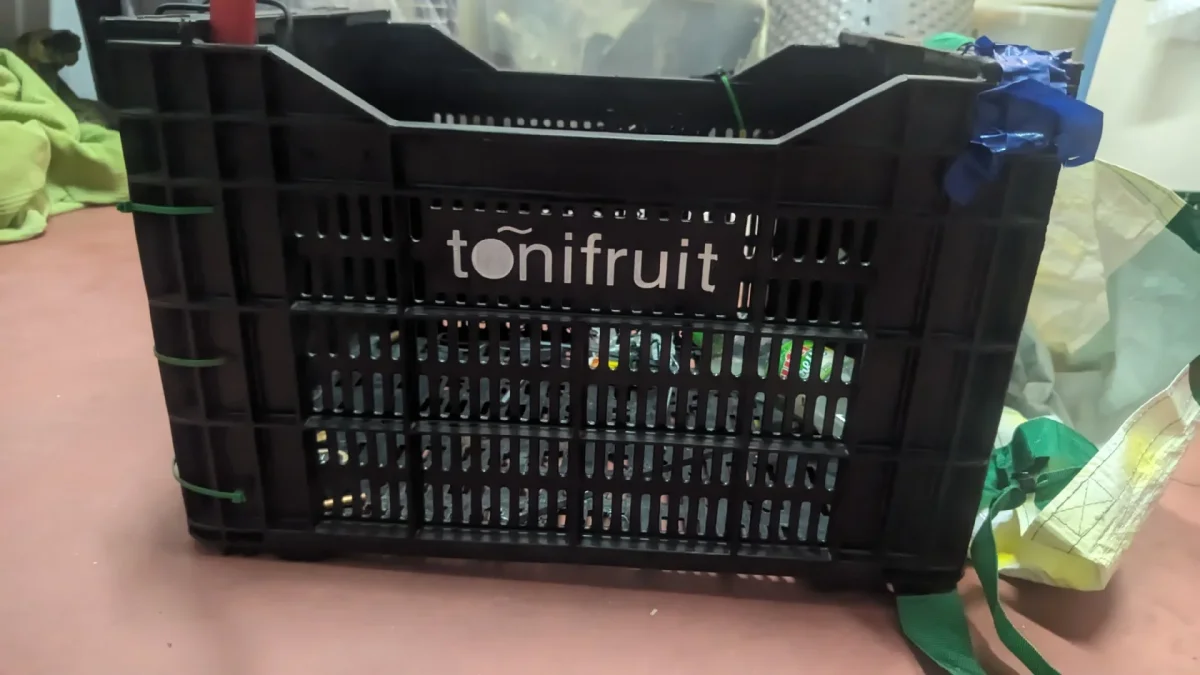 Se busca: necesita 2 Cajas frutas. En Murcia. Publicado por Fernan1245.