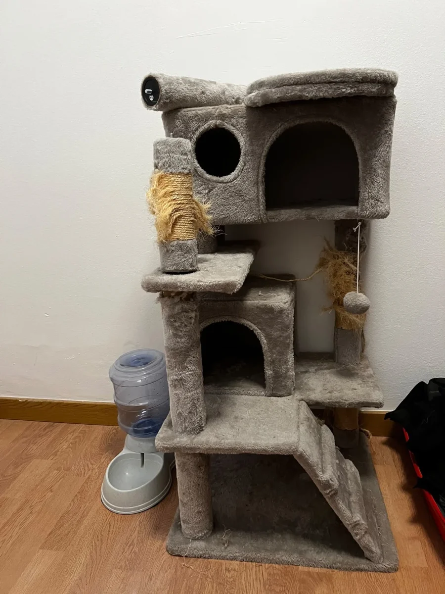 Se regala: cositas para gatos. En Barcelona. Publicado por Abel.